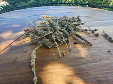 Load image into Gallery viewer, Mint