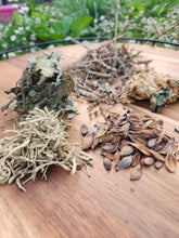 Load image into Gallery viewer, Mint