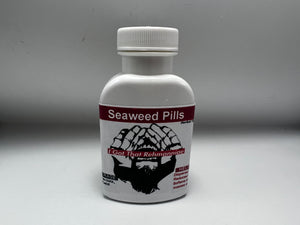 Seaweed Pills